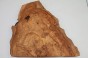 Wiąz Kaukaski Caucasian Elm czeczot burl