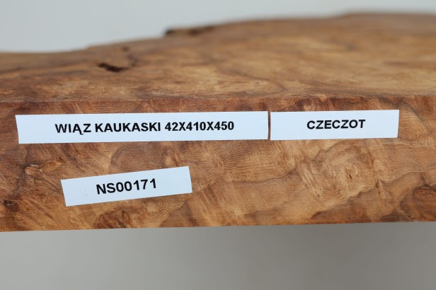 Wiąz Kaukaski Caucasian Elm czeczot burl
