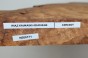 Wiąz Kaukaski Caucasian Elm czeczot burl