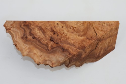 Wiąz Kaukaski Caucasian Elm czeczot burl