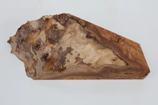 Wiąz Kaukaski Caucasian Elm czeczot burl