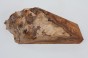 Wiąz Kaukaski Caucasian Elm czeczot burl