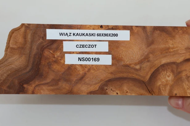 Wiąz Kaukaski Caucasian Elm czeczot burl
