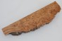Wiąz Kaukaski Caucasian Elm czeczot burl