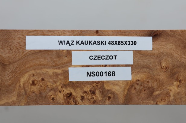 Wiąz Kaukaski Caucasian Elm czeczot burl
