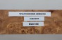 Wiąz Kaukaski Caucasian Elm czeczot burl