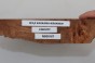 Wiąz Kaukaski Caucasian Elm czeczot burl
