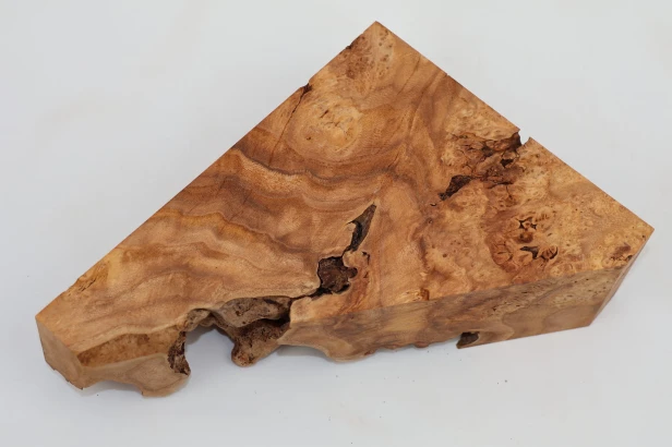 Wiąz Kaukaski Caucasian Elm czeczot burl