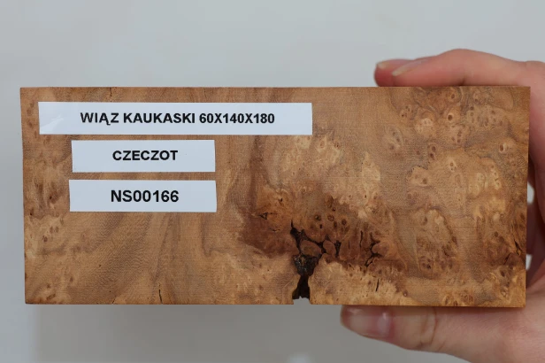 Wiąz Kaukaski Caucasian Elm czeczot burl