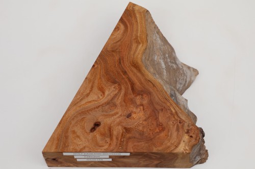 Wiąz Kaukaski Caucasian Elm czeczot burl