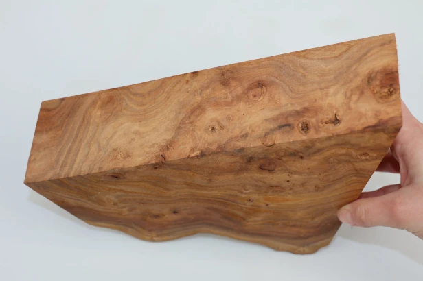 Wiąz Kaukaski Caucasian Elm czeczot burl