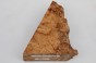 Wiąz Kaukaski Caucasian Elm czeczot burl