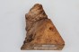 Wiąz Kaukaski Caucasian Elm czeczot burl