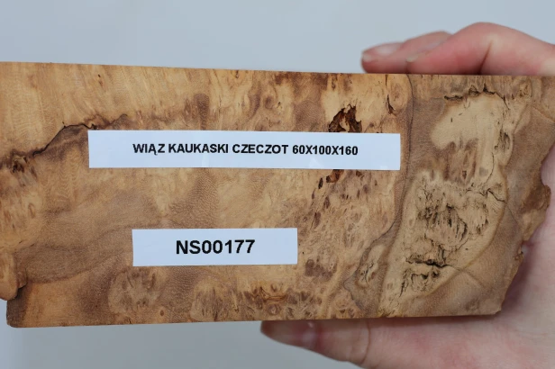 Wiąz Kaukaski Caucasian Elm czeczot burl