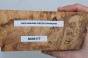Wiąz Kaukaski Caucasian Elm czeczot burl