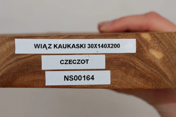 Wiąz Kaukaski Caucasian Elm czeczot burl