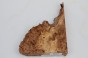 Wiąz Kaukaski Caucasian Elm czeczot burl