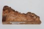 Wiąz Kaukaski Caucasian Elm czeczot burl