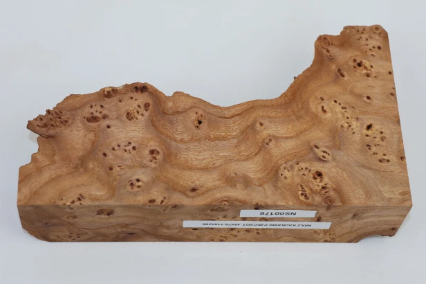 Wiąz Kaukaski Caucasian Elm czeczot burl