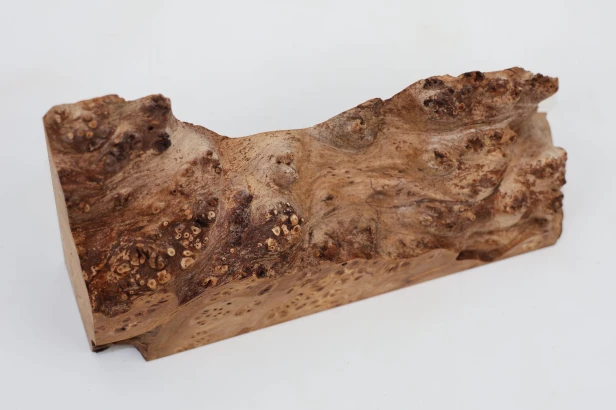 Wiąz Kaukaski Caucasian Elm czeczot burl