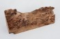 Wiąz Kaukaski Caucasian Elm czeczot burl