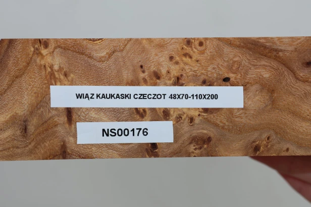 Wiąz Kaukaski Caucasian Elm czeczot burl