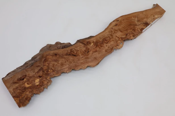 Wiąz Kaukaski Caucasian Elm czeczot burl