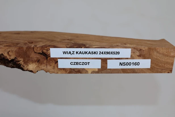 Wiąz Kaukaski Caucasian Elm czeczot burl