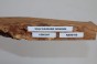 Wiąz Kaukaski Caucasian Elm czeczot burl