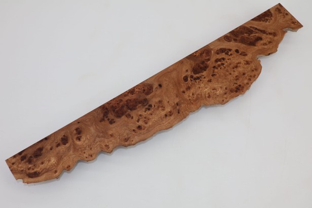 Wiąz Kaukaski Caucasian Elm czeczot burl