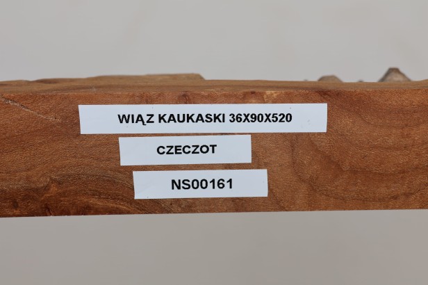 Wiąz Kaukaski Caucasian Elm czeczot burl