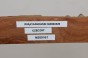 Wiąz Kaukaski Caucasian Elm czeczot burl