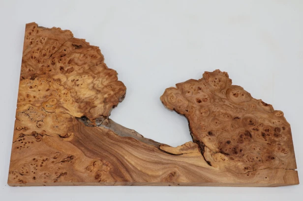 Wiąz Kaukaski Caucasian Elm czeczot burl
