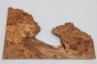Wiąz Kaukaski Caucasian Elm czeczot burl