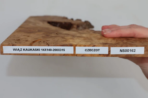 Wiąz Kaukaski Caucasian Elm czeczot burl