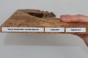 Wiąz Kaukaski Caucasian Elm czeczot burl