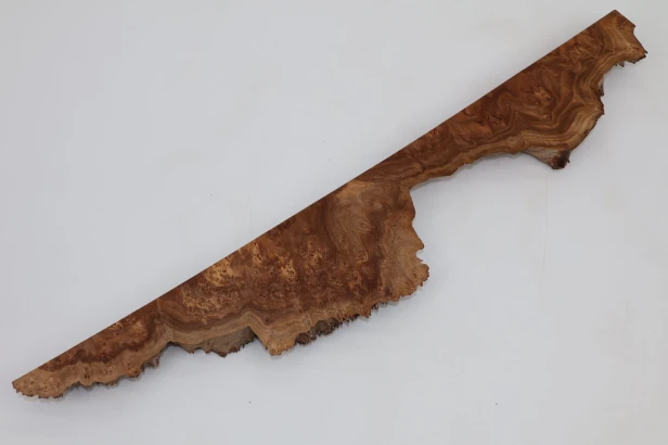 Wiąz Kaukaski Caucasian Elm czeczot burl