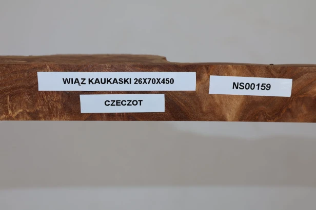Wiąz Kaukaski Caucasian Elm czeczot burl