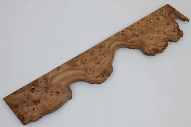 Wiąz Kaukaski Caucasian Elm czeczot burl