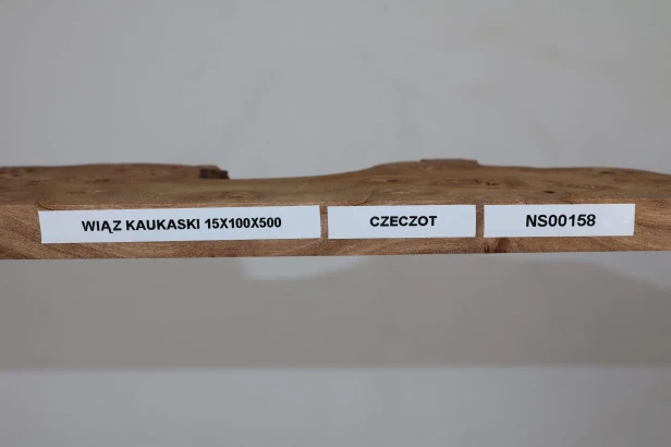 Wiąz Kaukaski Caucasian Elm czeczot burl