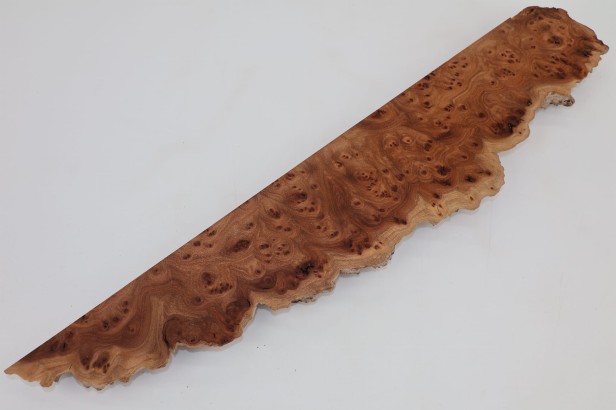 Wiąz Kaukaski Caucasian Elm czeczot burl