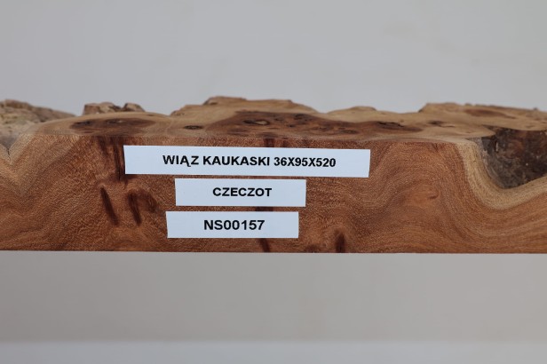 Wiąz Kaukaski Caucasian Elm czeczot burl