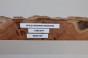 Wiąz Kaukaski Caucasian Elm czeczot burl