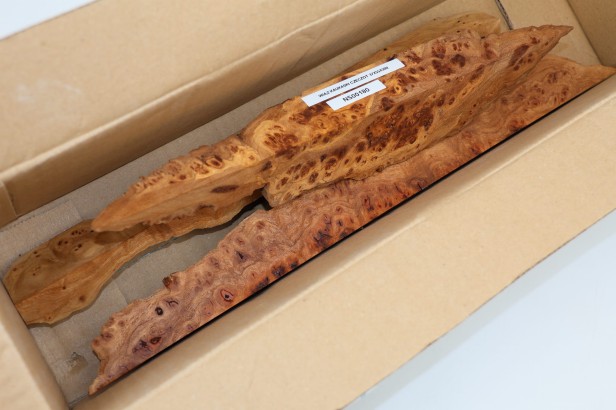 Wiąz Kaukaski Caucasian Elm czeczot burl