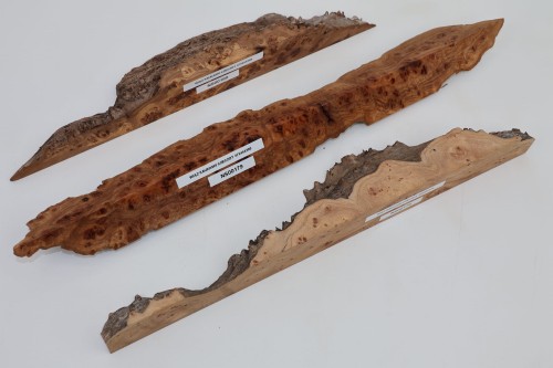 Wiąz Kaukaski Caucasian Elm czeczot burl