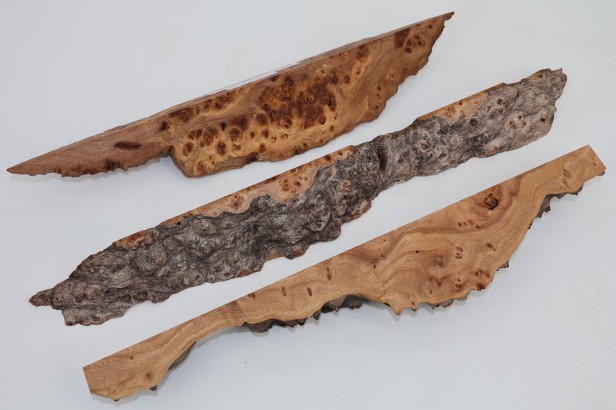 Wiąz Kaukaski Caucasian Elm czeczot burl
