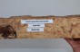 Wiąz Kaukaski Caucasian Elm czeczot burl