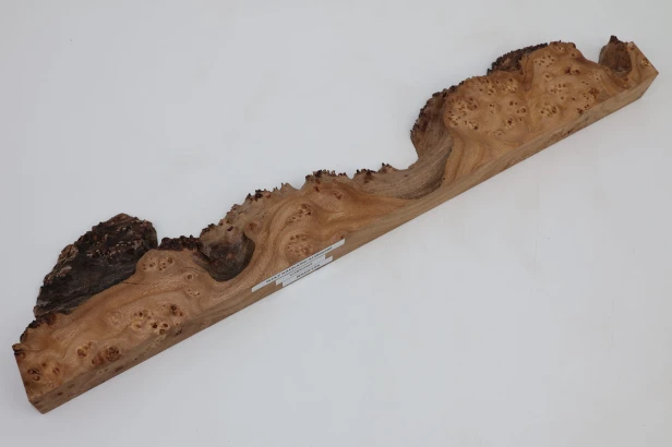 Wiąz Kaukaski Caucasian Elm czeczot burl