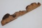 Wiąz Kaukaski Caucasian Elm czeczot burl