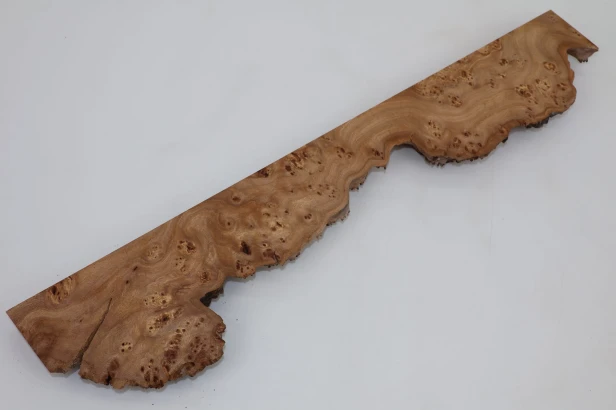 Wiąz Kaukaski Caucasian Elm czeczot burl